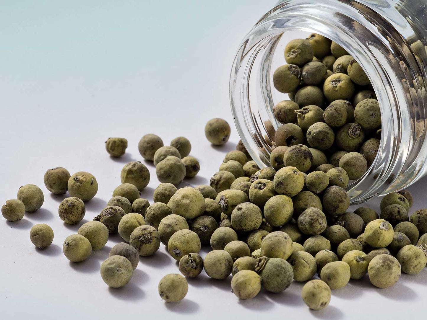 Liofilizowana Papryka Zielona 20g