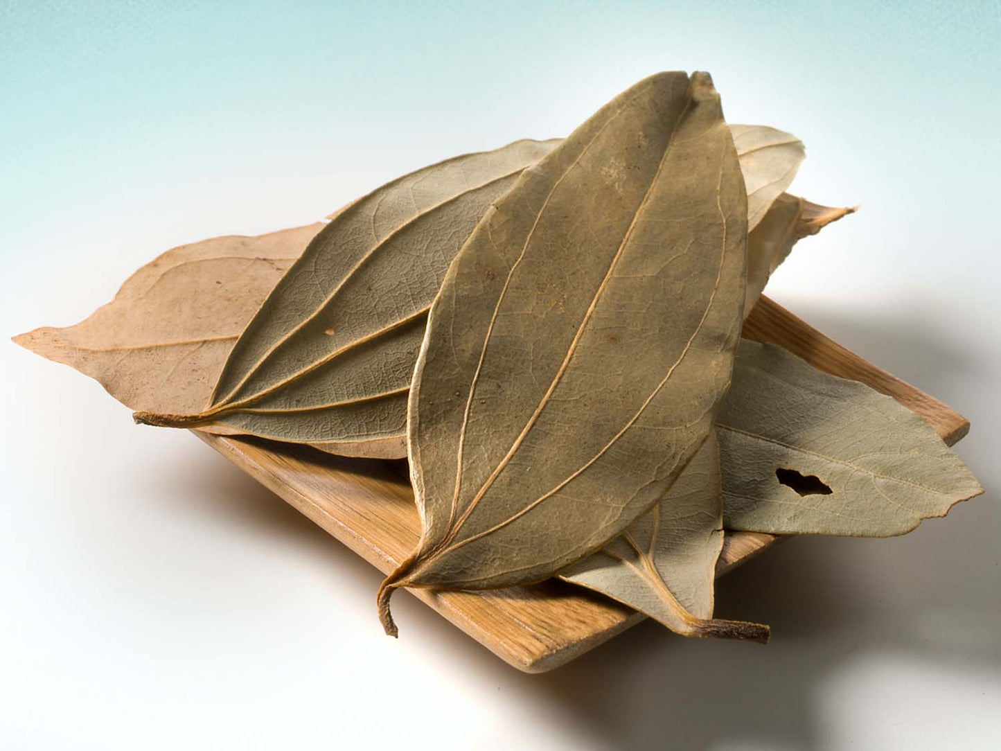 Cynamon Malabatrum 5g