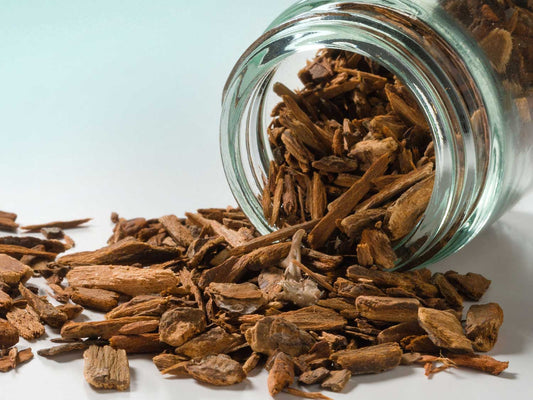 Chińska kora succrubry czerwonej 30g